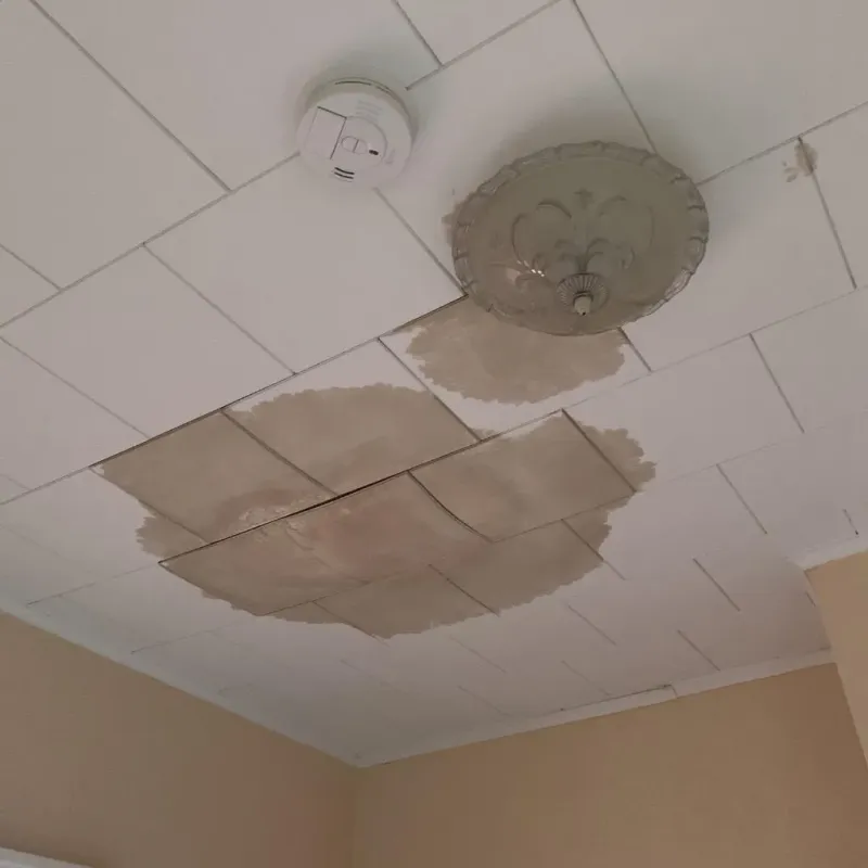 Ceiling Water Damage Repair in Sag Harbor, NY