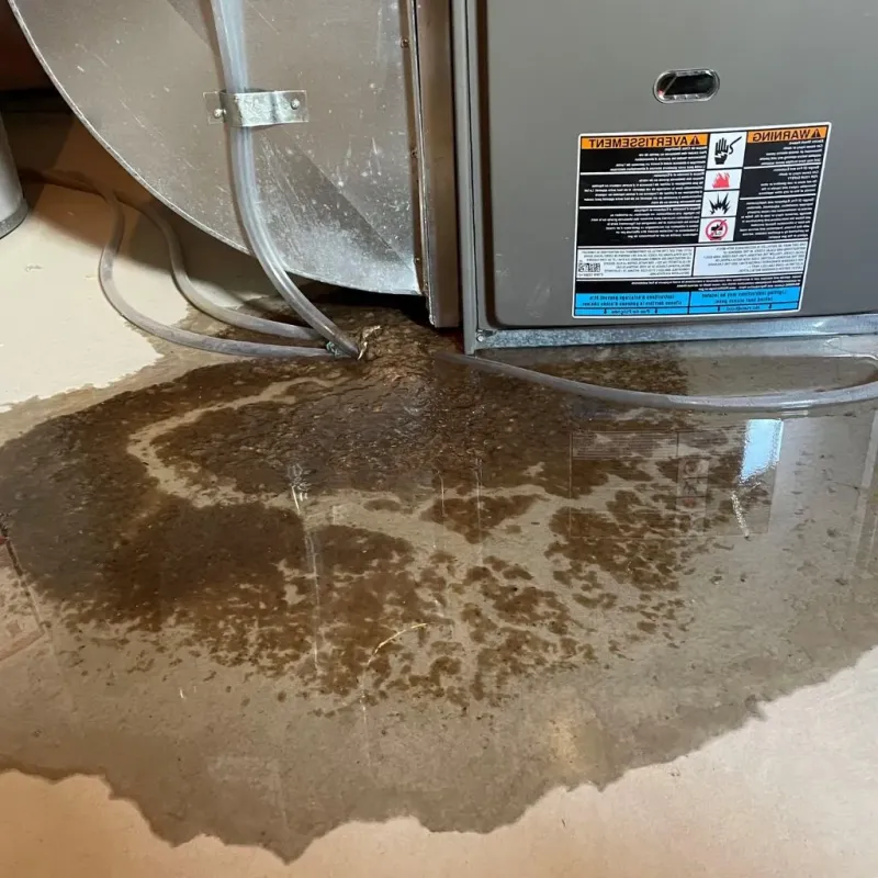 Pipe Burst and Leak Restoration in Sag Harbor, NY